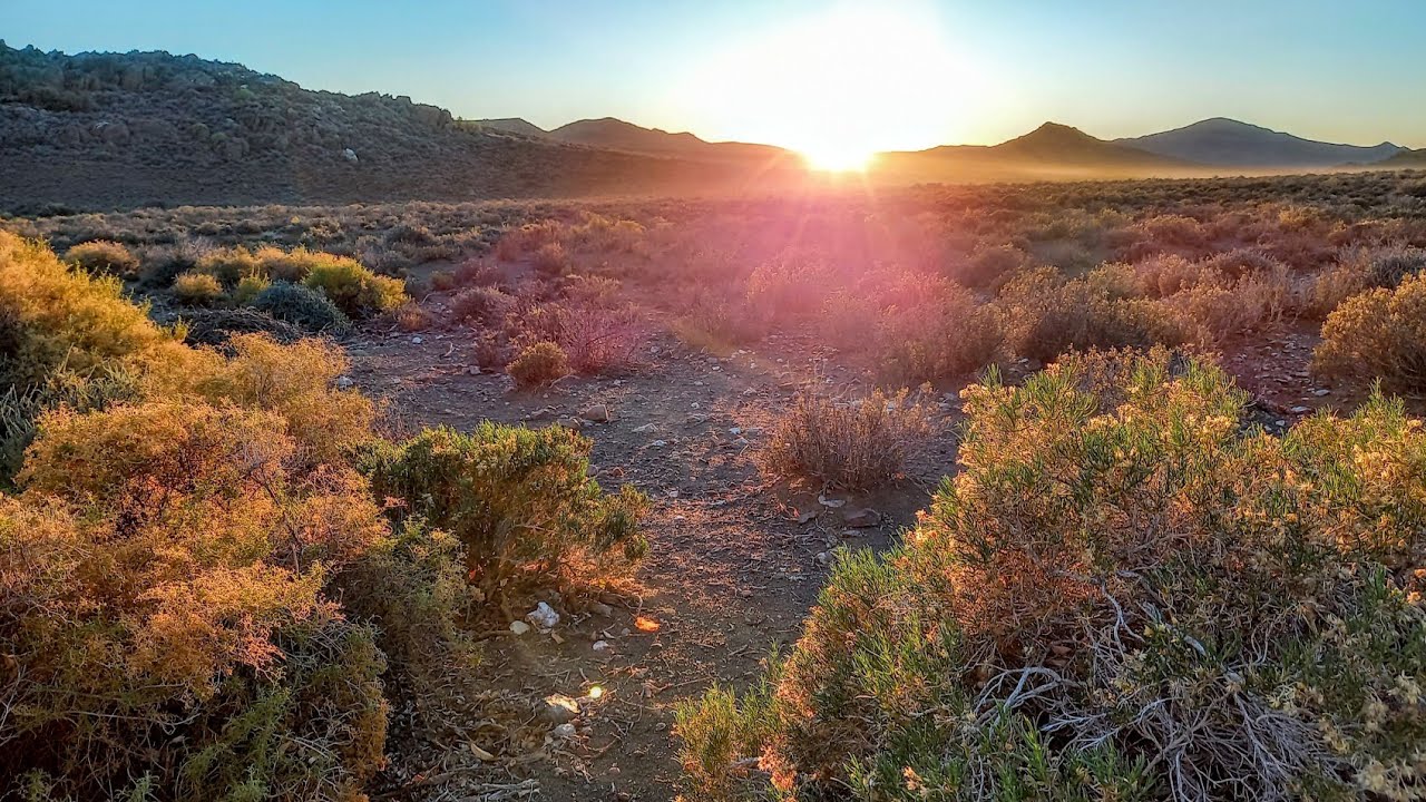 Simple Earth Channel Trailer S1 - Homesteading From Scratch in The Karoo Desert