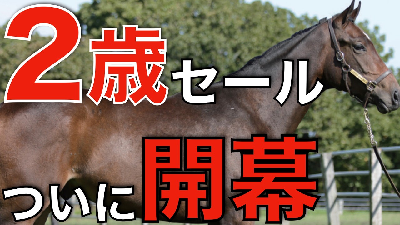 いよいよ開幕！日本でも熱い視線が注がれる2歳トレーニングセール。