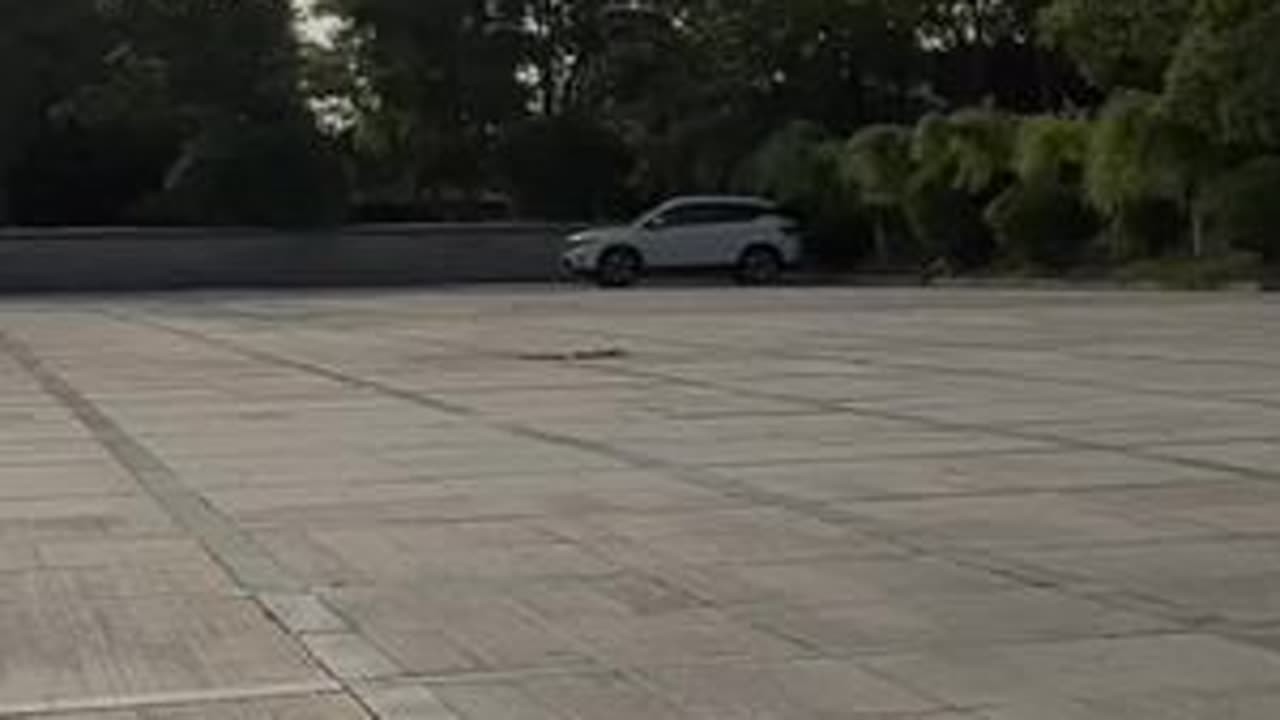 烟台金沙滩海滨公园的万米海水浴场，享有&ldquo;北方第一海滩&rdquo;美誉，感觉比北海的银沙滩更美丽，这儿的沙滩、海水深深吸引着我。#烟台金沙滩海滨公园 #旅游感受#自驾游#行者日记 #美丽的海水浴场