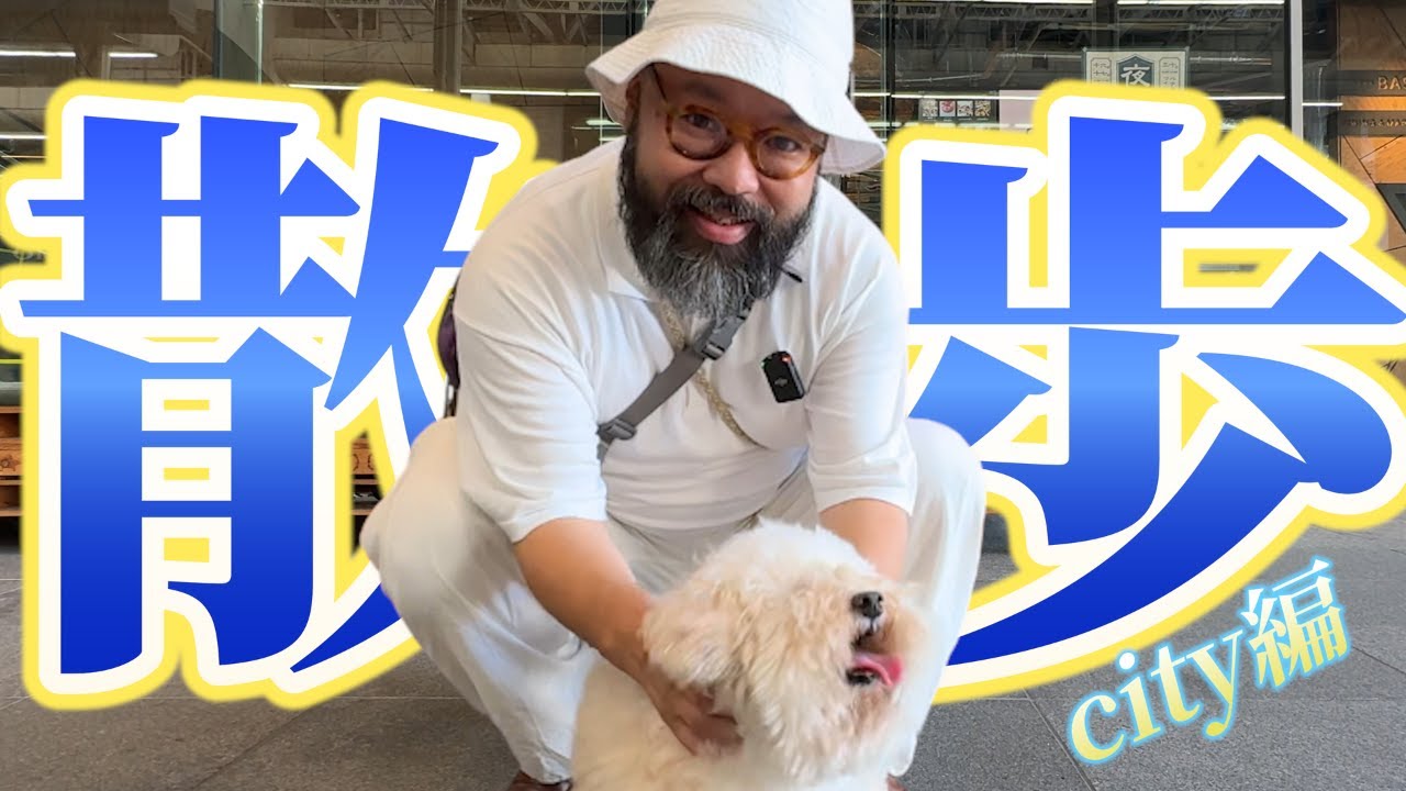 【犬の散歩２】ドッグトレーナーの散歩に密着！騒がしい街での散歩はうまくできるのか、、、全公開してしまいます！