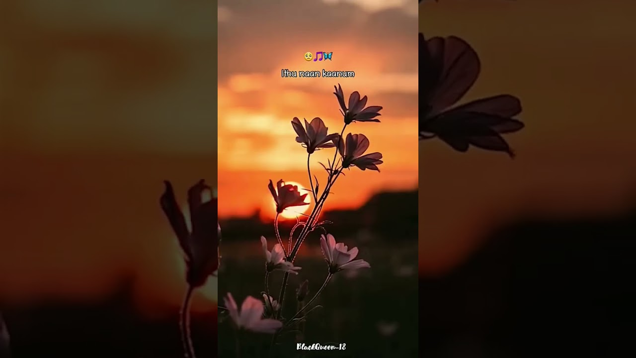 Uyirai thulaithen🥺❣️💥 #lyrics #lovesong