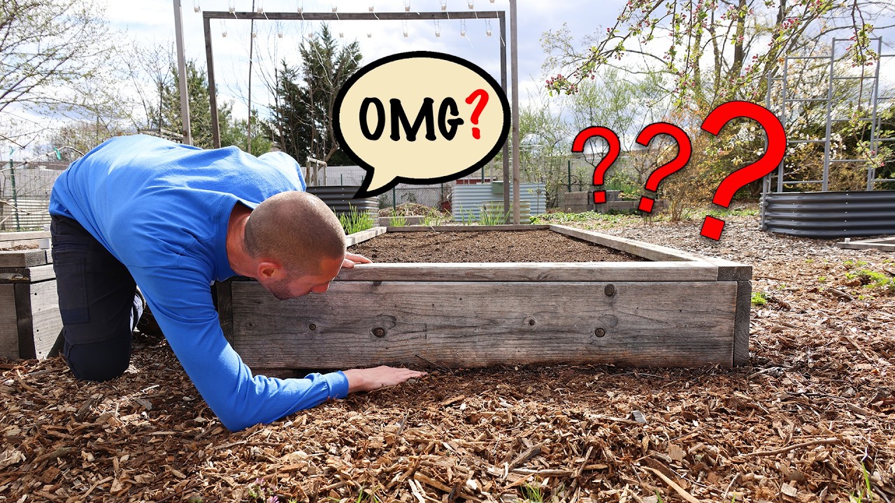 I WISH I Knew These RAISED BED Mistakes Sooner