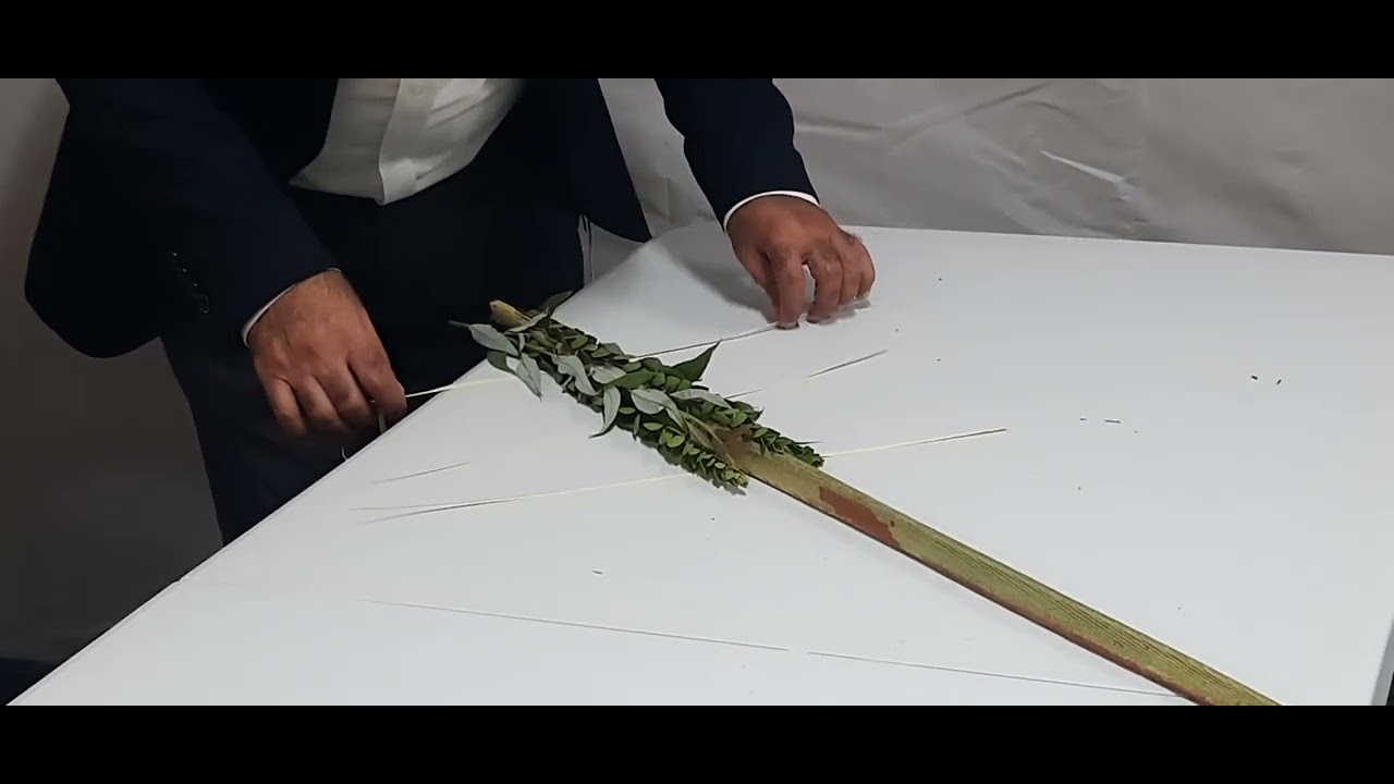סדר קשירת ארבעת המינים