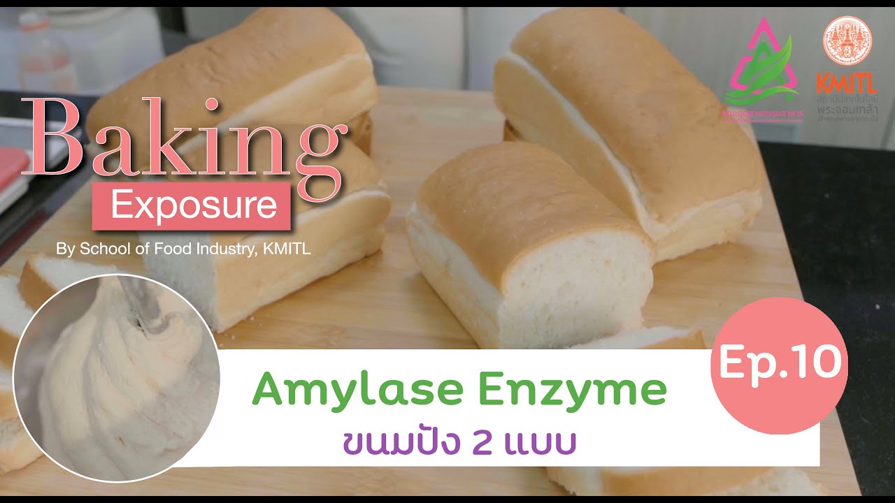 Amylase Enzyme กับ ขนมปัง 2 แบบ | Baking Exposure EP.10