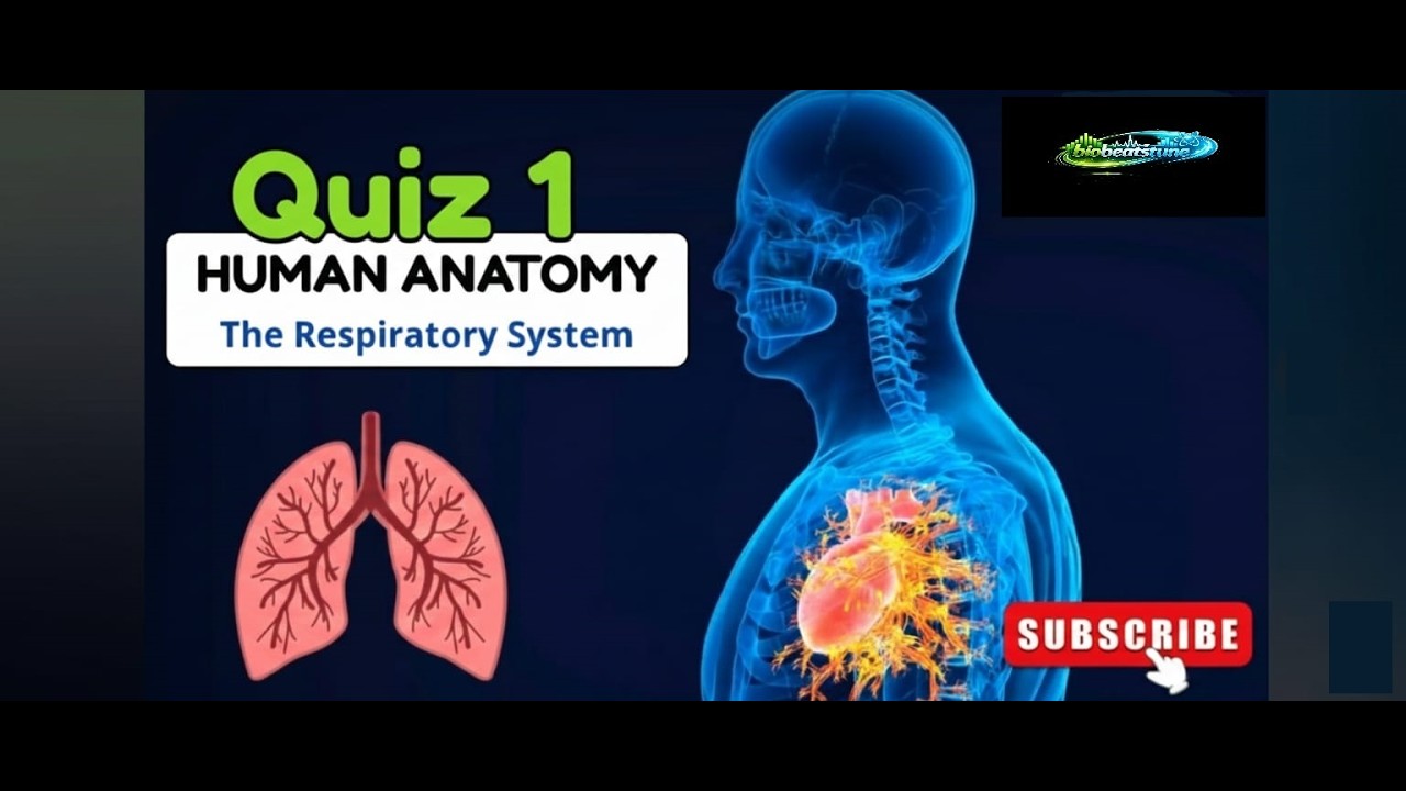 The Respiratory Review: Grade 8 Are You Ready for Monday?