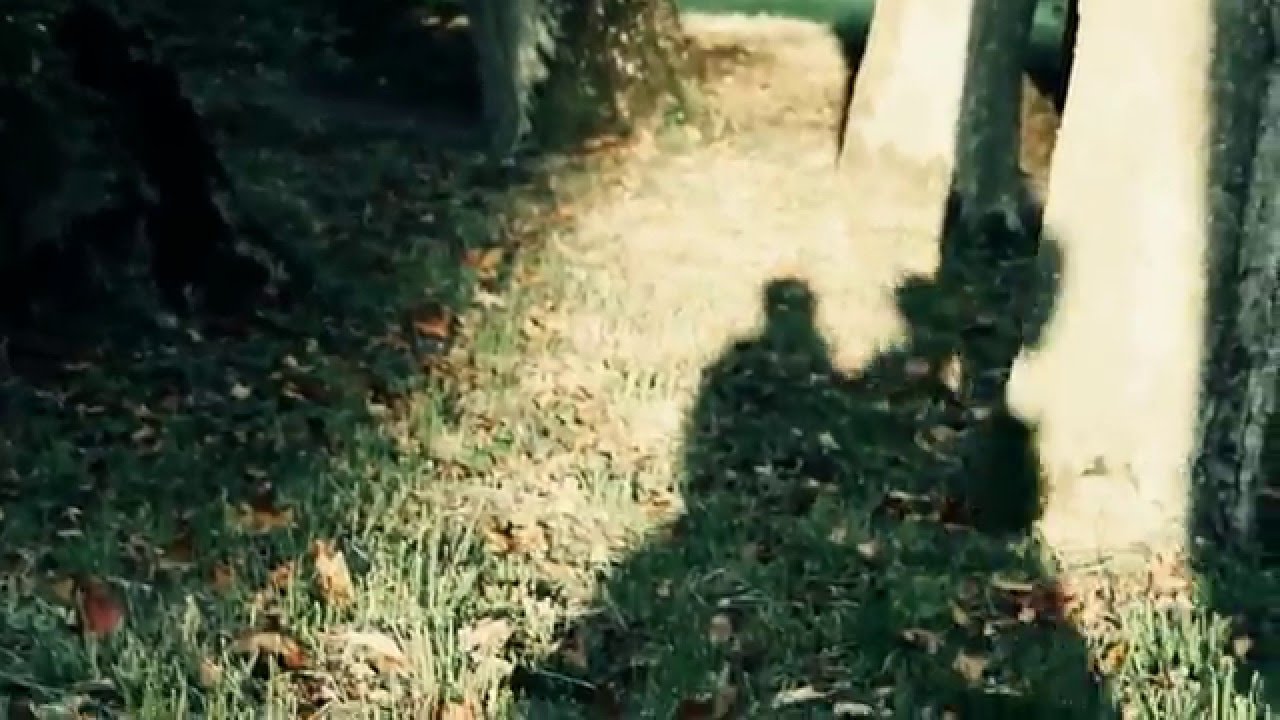 MIKROMUSIC Jesień (Official Video)