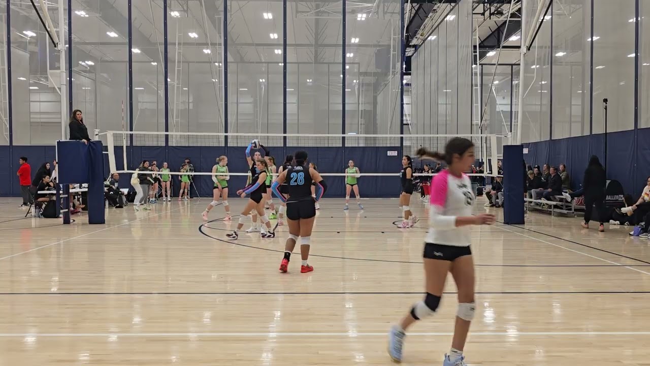 VVA 14 Catalan vs Marin 13 Black