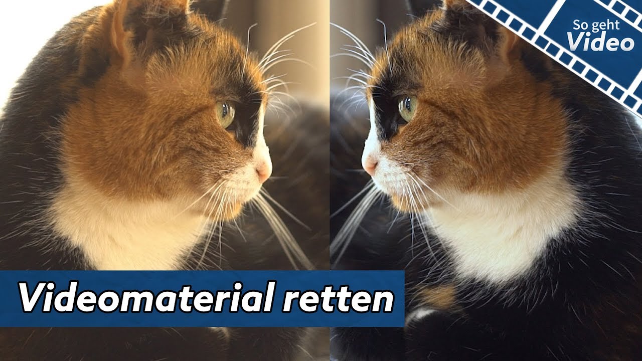 Videomaterial retten: Helligkeit und Wei&szlig;abgleich im Schnitt korrigieren | So geht Video