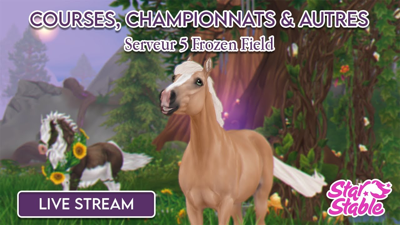 Entrainons nous ensemble ! | STAR STABLE