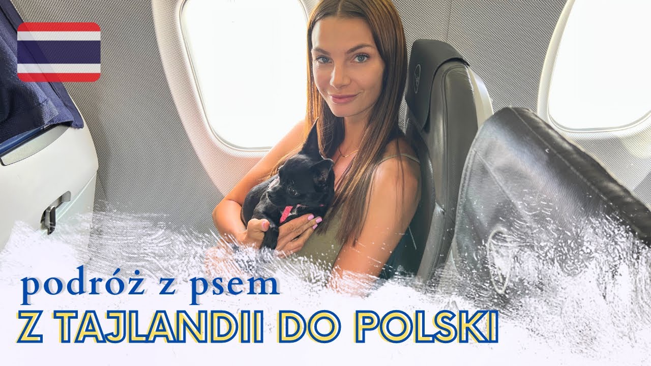 Podr&oacute;ż samolotem z PSEM 🐶 z TAJLANDII do Polski 🇹🇭 🇵🇱 WAŻNE informacje ❗️powr&oacute;t psa do UE