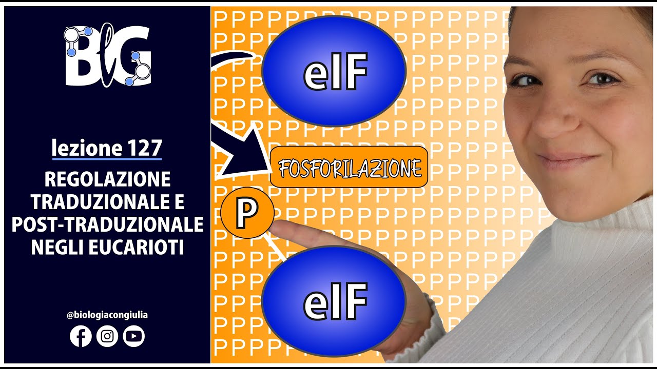 REGOLAZIONE TRADUZIONALE e POST-TRADUZIONALE negli EUCARIOTI