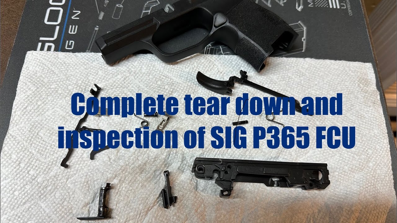 Sig Sauer P365 - Complete disassembly tear down inspection for damage & wear.  Planning improvements
