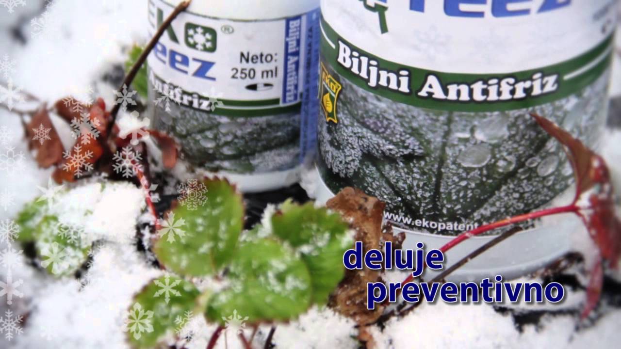 EkoFreez , antifriz za biljke , biljni organski antifriz