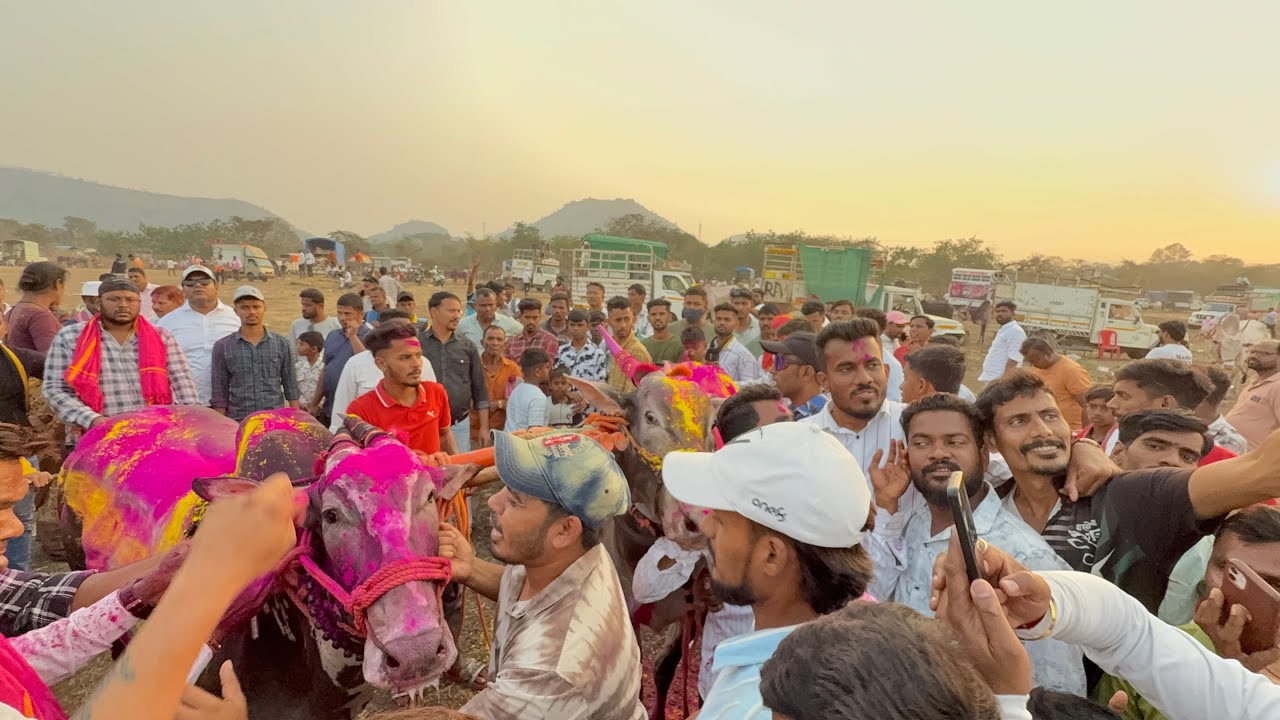 भुंगा 🆚 मथुर विजयानंतर जल्लोष का नाही झाला 😕