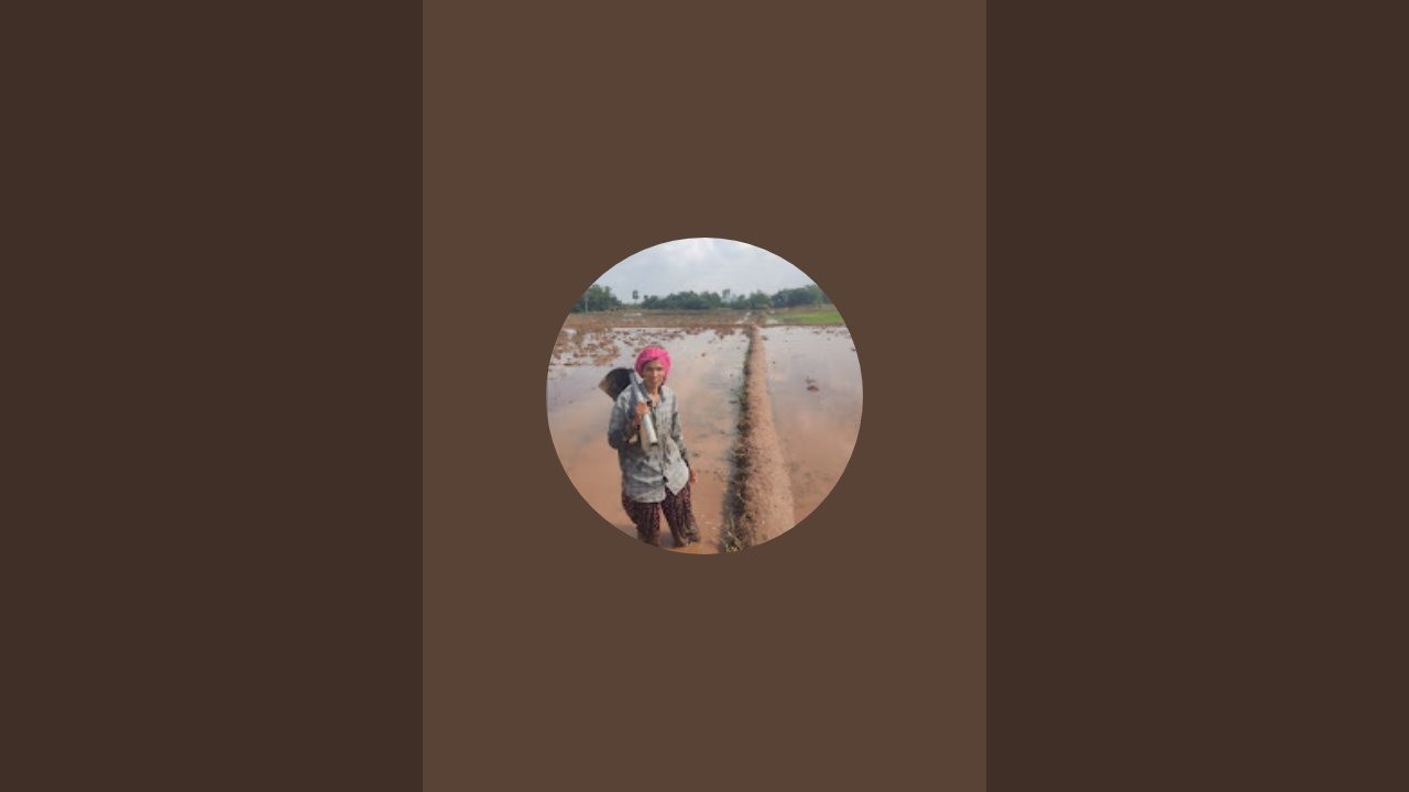 SandhyaRaju Agriculture & vloges  is live