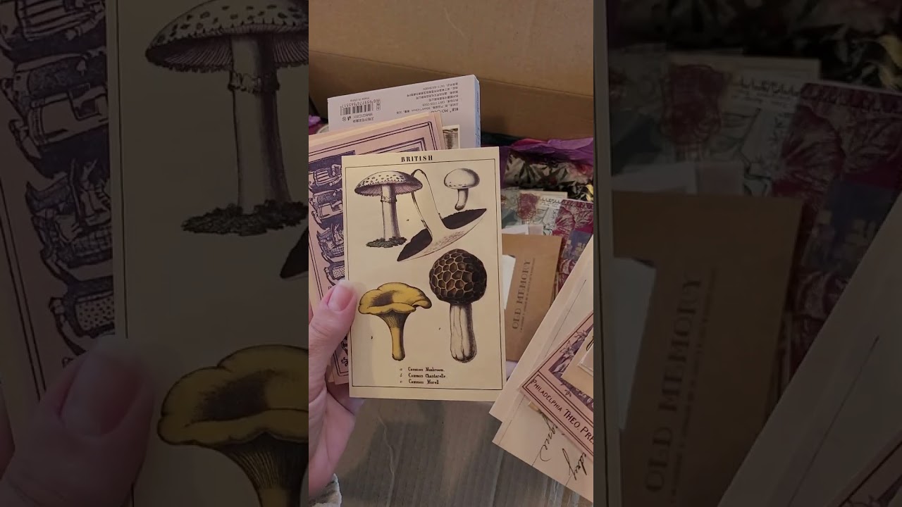 Happy Mail unboxing!! Thanks @alijjournaldesigns3254
