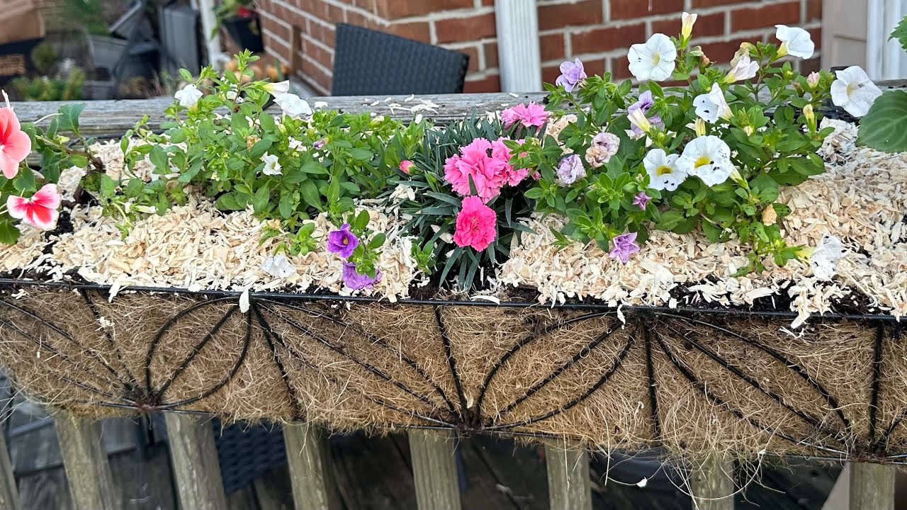 Simple Spring Window Box Planting 🌸 that fills in with color| Pink, Purple & White 
