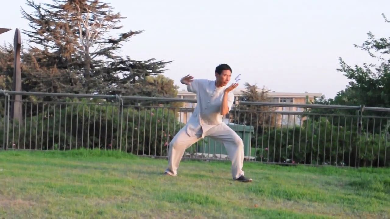 Master Chen Bing - Chen Taiji Quan Basic 13 Postures Form 陈炳老师陈氏太极拳基本十三式