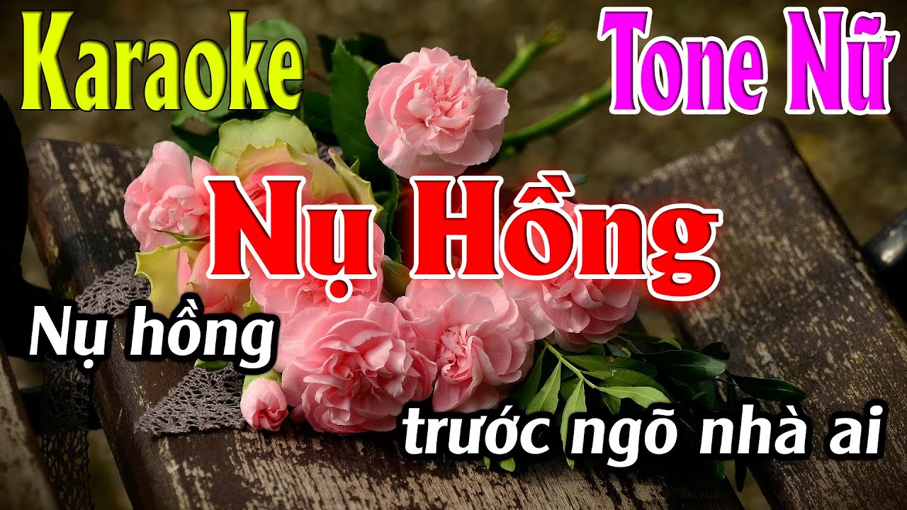 Nụ Hồng Karaoke Tone Nữ ( Bm ) Karaoke L&acirc;m Organ - Beat Mới