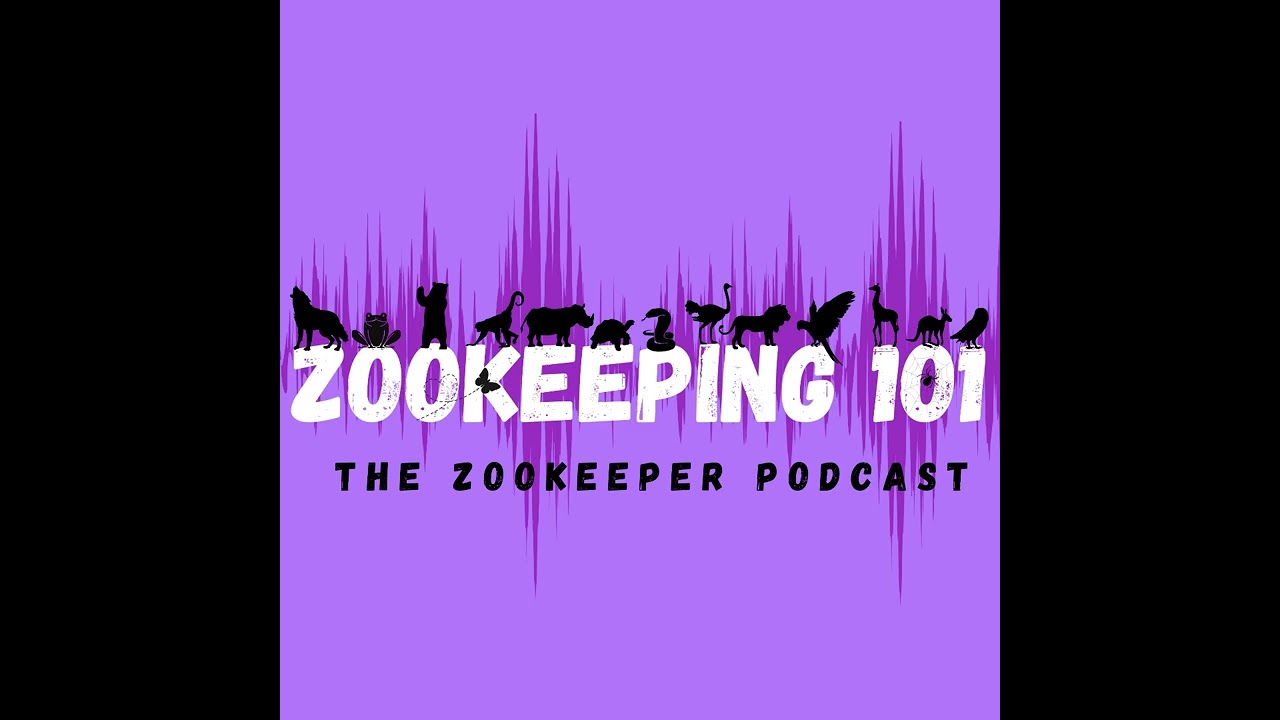 ZOOKEEPING 101: Episode 0: James Dennis Introduction.