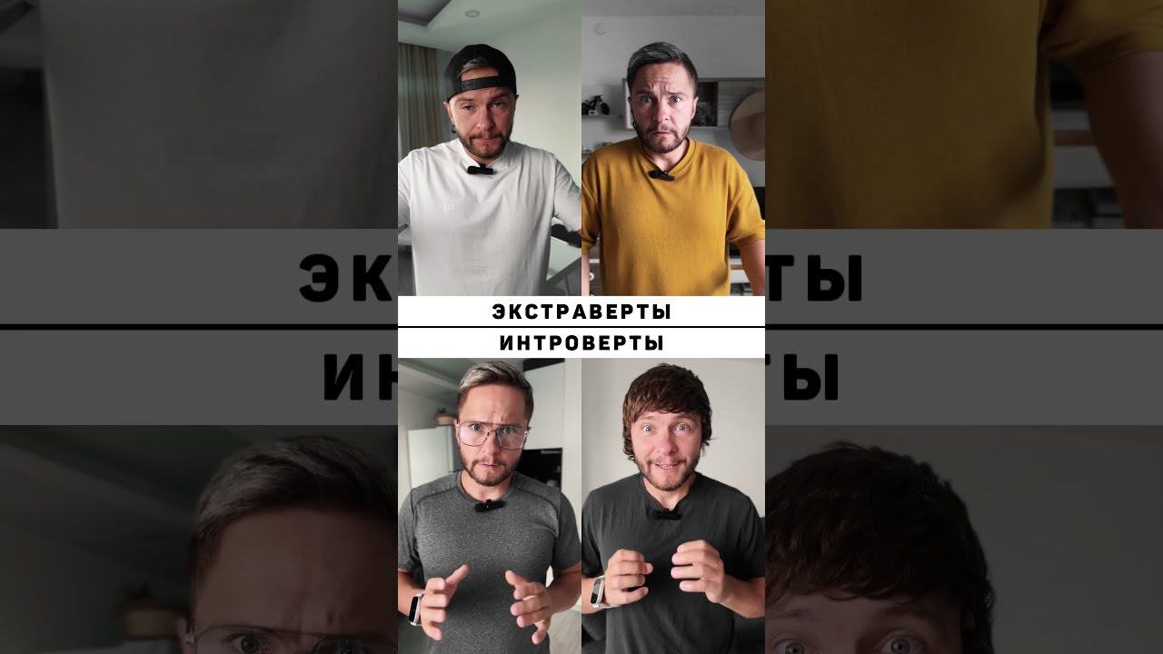 Экстраверты vs интроверты