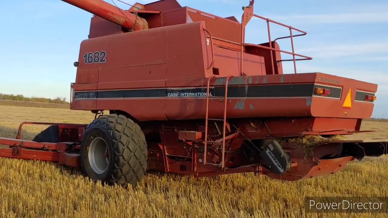 Wheat harvest with Case 2290 & 1682!