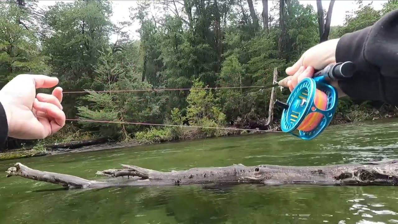 Pescando en Aguas Claras: Río Malito y Río Azul (Futaleufú)