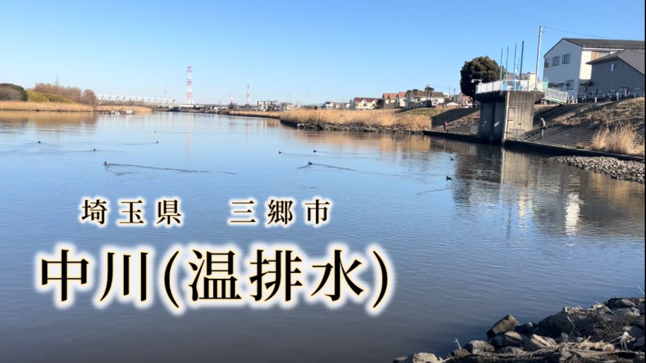 中川温排水に挑戦！【埼玉県三郷市】