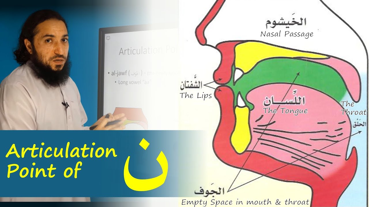 Articulation Point (Makhraj) of Noon ( ن ) | Lesson 25