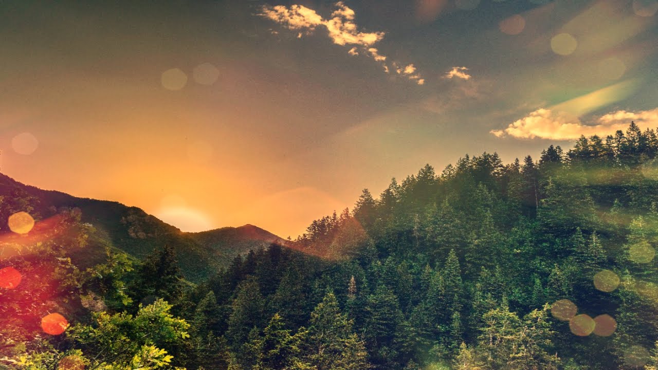 Relaxing piano music with forest nature sounds: meditation, sleep,relax
