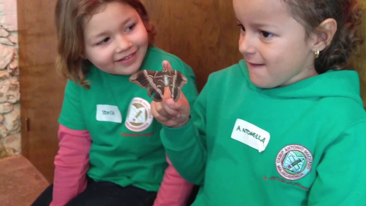 InsectPark Infantil 2019