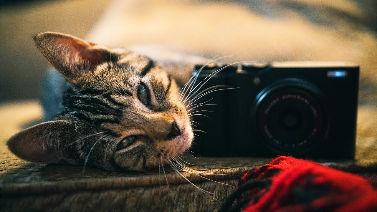 Fuji XF10 - Why Filmmakers NEED a Point and Shoot!
