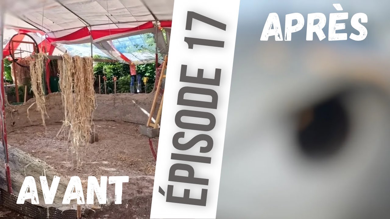 Construction d’une Deuxième Kerterre - Partie 3 (Épisode 17)