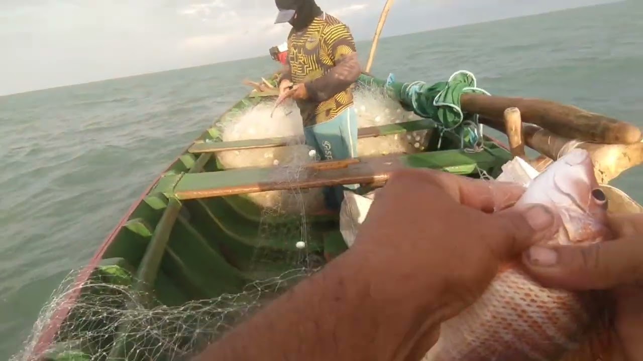 NESSA PESCARIA FOMOS EM BUSCA DAS VERMELHAS, MAS, FOI MUITO DIFÍCIL 