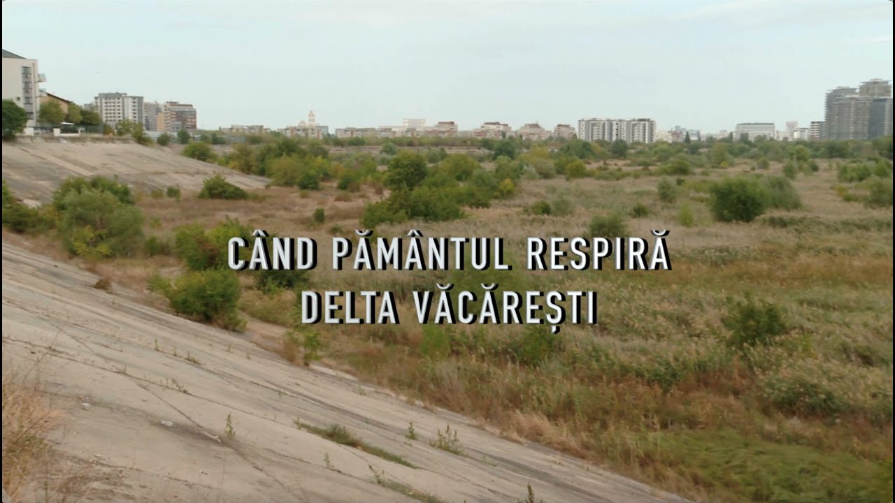 ISTORIILE ORAŞULUI (VII) | CÂND PĂMÂNTUL RESPIRĂ. DELTA VĂCĂREȘTI | TVR CULTURAL
