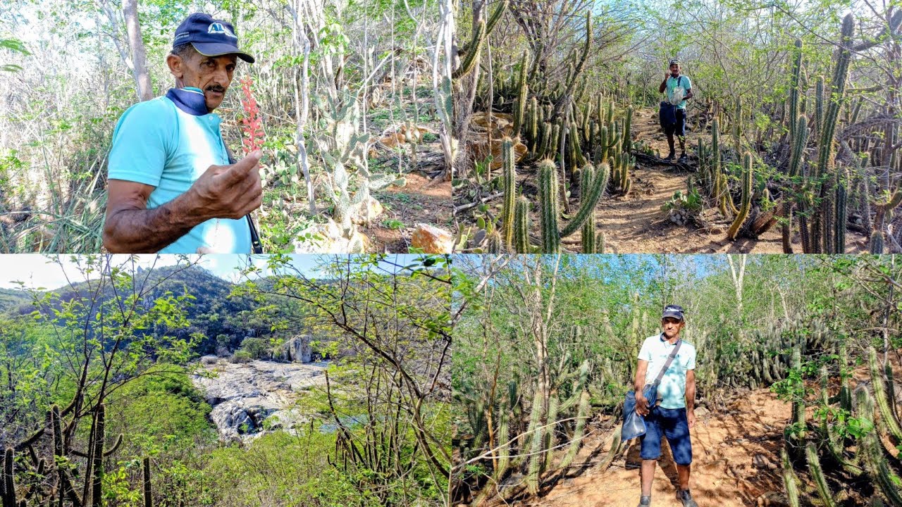 TRILHA NA CAATINGA, EXPLORANDO A BELEZA  PRESERVADA ,NO RIO PARAÍBA. 
