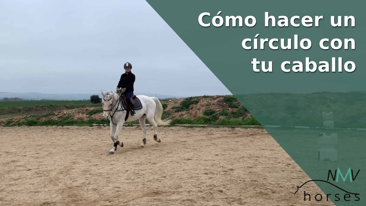 🐴Como hacer un circulo con tu caballo🐴Monta a caballo paso a paso🐴