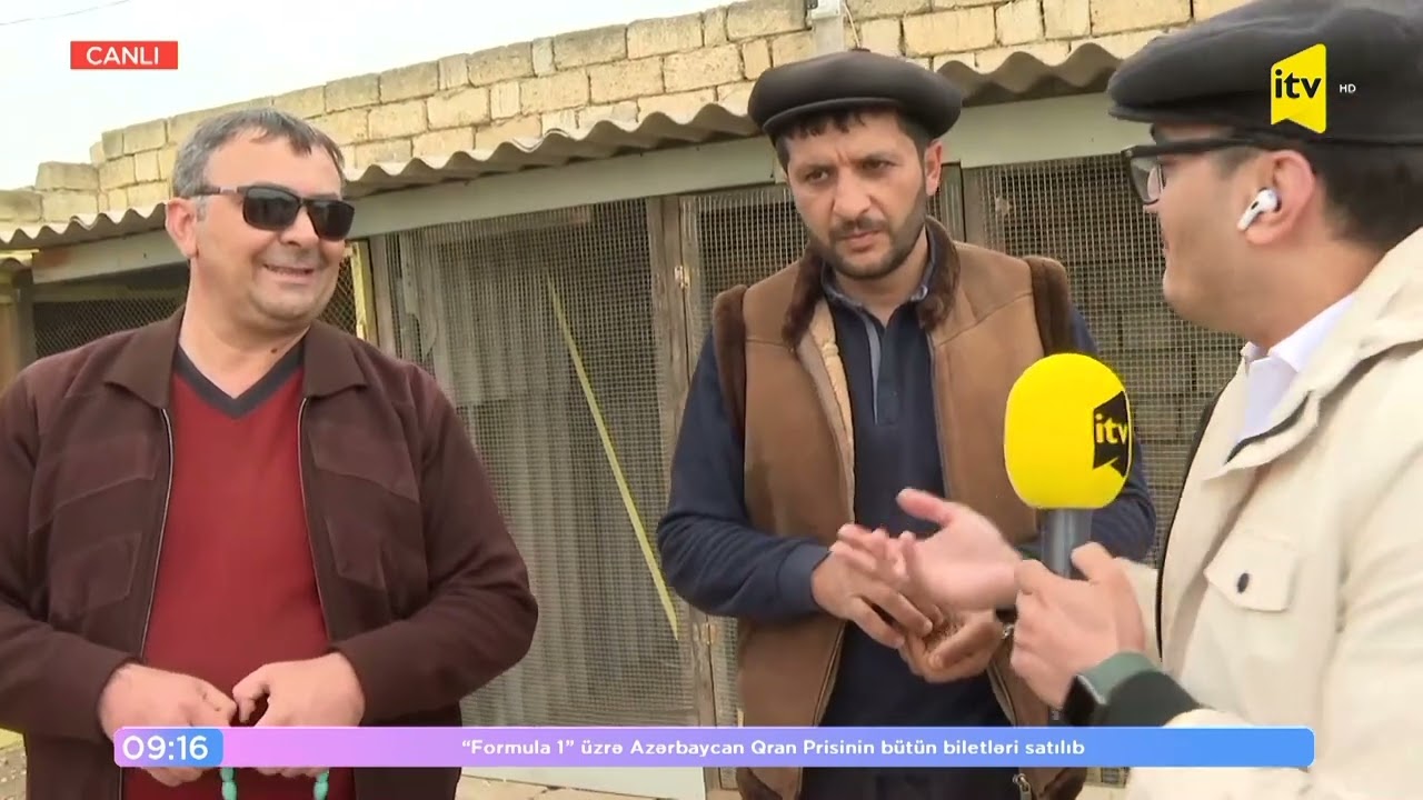 13 saat havada quşları qalan Novxanı Quşbazları 🕊️