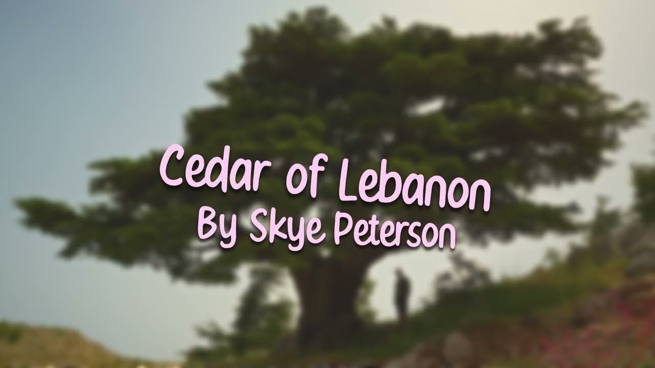 Cedar of Lebanon | Skye Peterson | Lyric Video