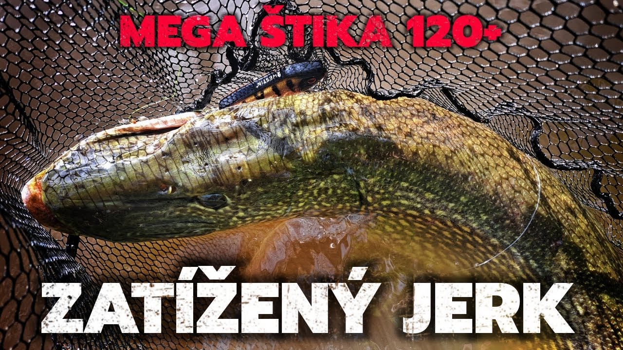 LOV ŠTIK SE ZATÍŽENÝM JERKEM / PIKE FISHING WITH WEIGHTED JERK