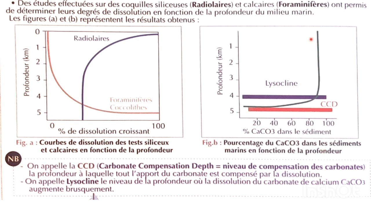 1bac svt : facteurs qui contrôlent la sédimentation marine CCD niveau de compensation de carbonate 