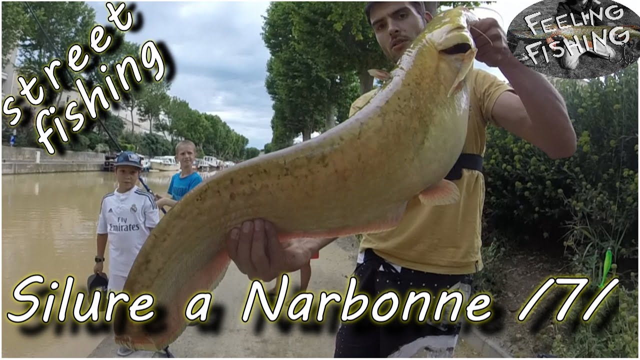 Peche du silure aux leurres en street fishing a Narbonne partie 7 - Gopro HD
