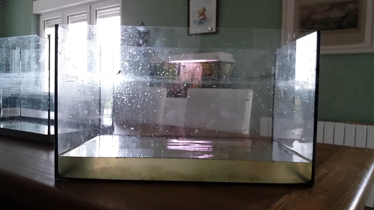 Achat de 2 aquariums de 50 litres+5 poissons pour 22e!