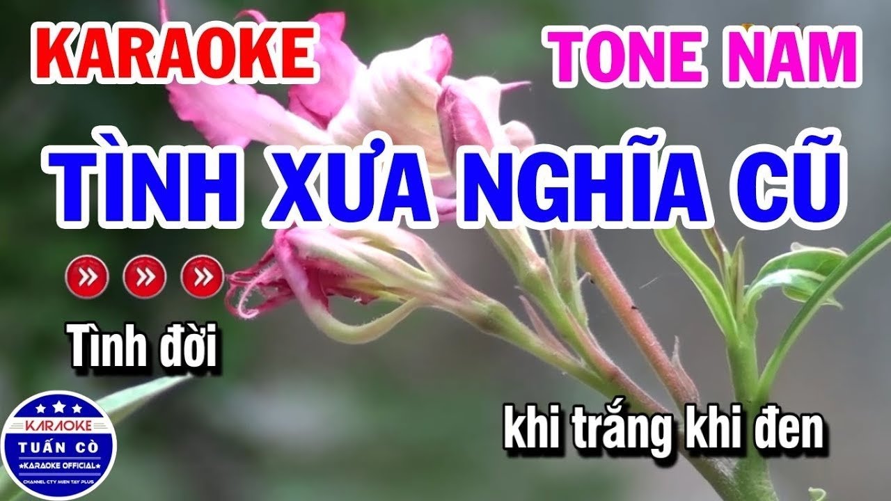 Karaoke Tình Xưa Nghĩa Cũ | Nhạc Sống Tone Nam Beat | Karaoke Đồng Sen