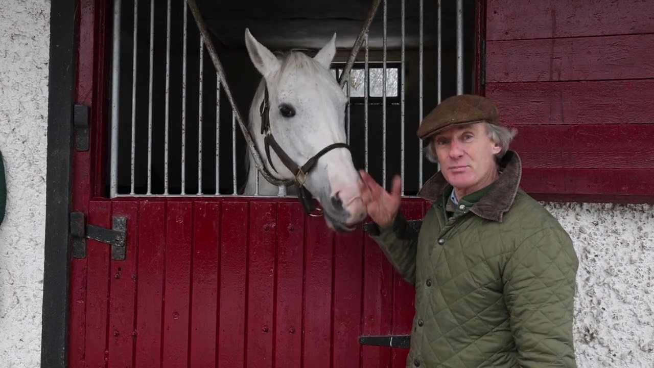 Jukebox Jury at Burgage Stud January 2025