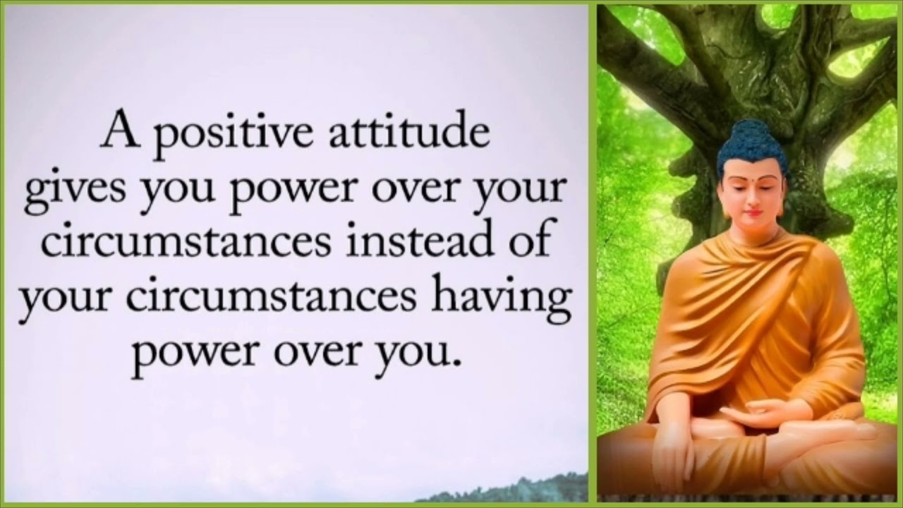 Life Changing Quotes From Budda # Day 78 | Pure Devine Energy