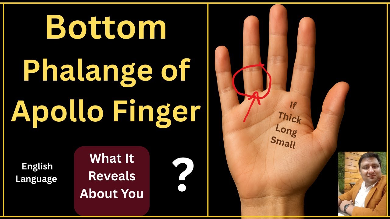 “Apollo Finger Base Phalange – Secrets About Your Personality”