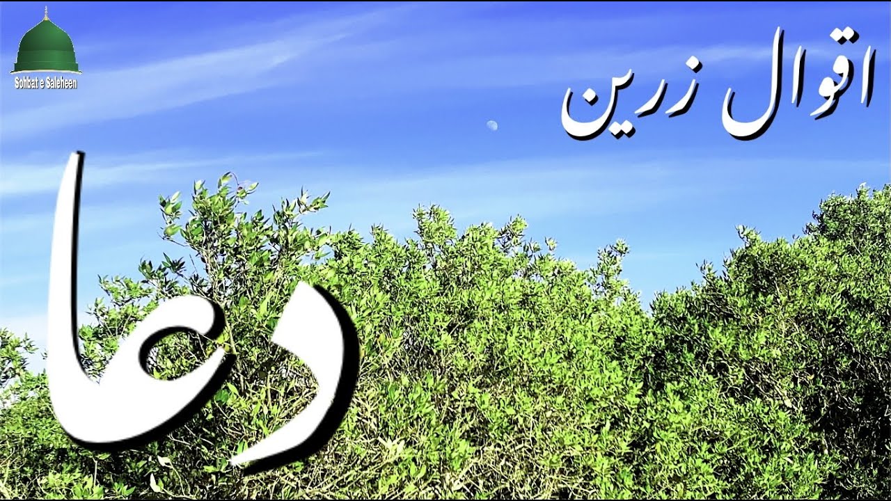 DUA | Golden Words on DUA | Precious Quotes | Inspirational Hindi Quotes | Aqwal e Zareen in urdu