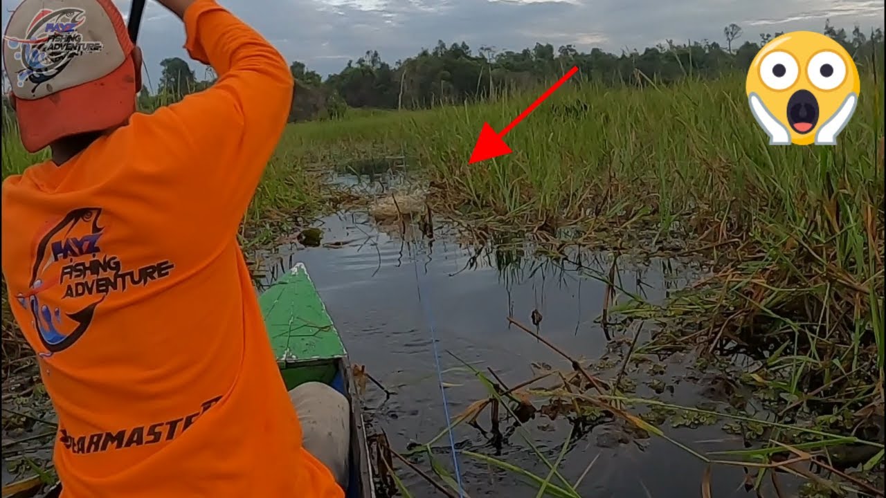 Ketika Rawai Diserbu ikan Tapah #239