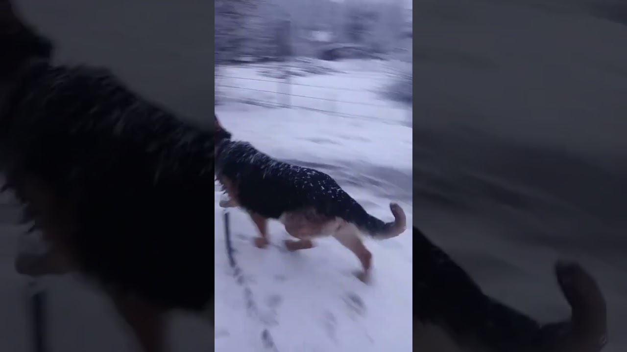 30 січня 2026 р.